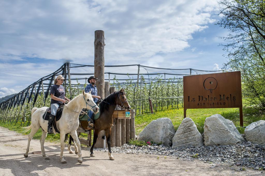 Agritur La Dolce Mela Vezzano (Trento)