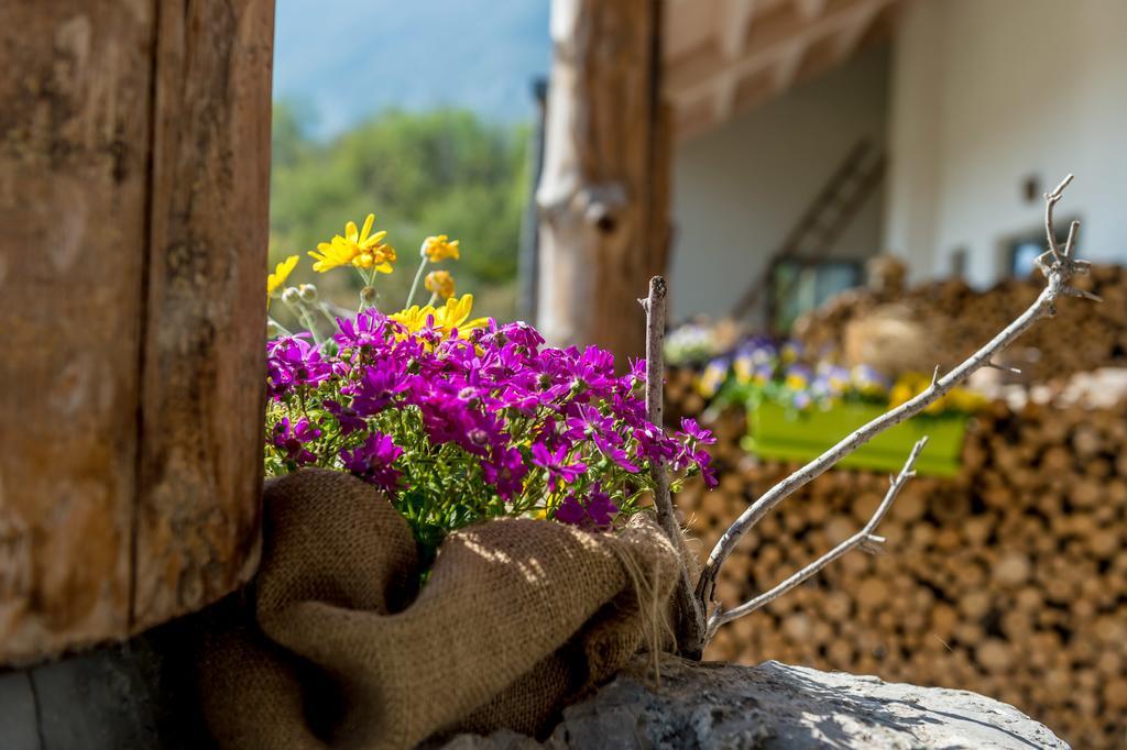 Agritur La Dolce Mela Vezzano (Trento)
